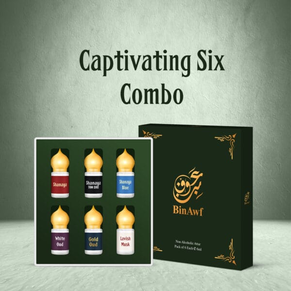 BinAwf-Captivating-Six-Attar-Combo